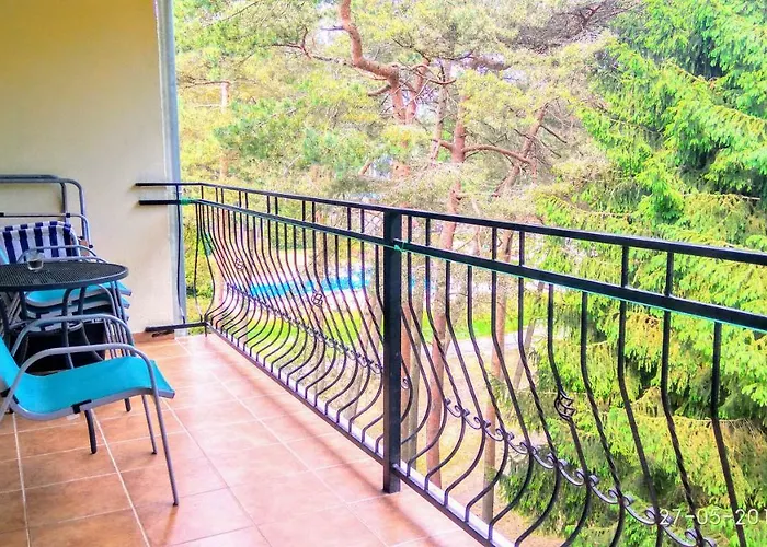 Blue Mare U Tomka Łukęcin